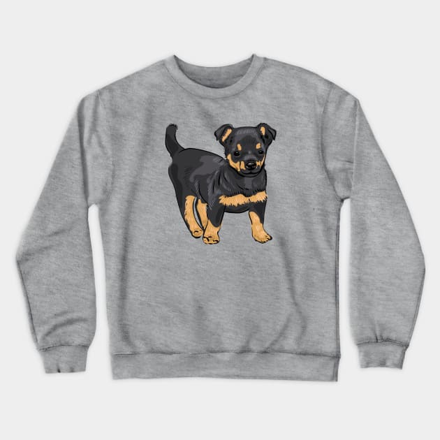 Lancashire Heeler dog puppy Crewneck Sweatshirt by Catdog